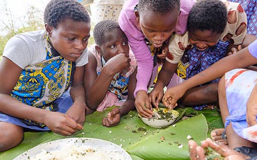 Alimentazione Nutrizione